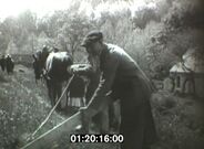 PenntiFinCanal2.jpg