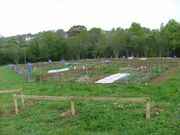 PenCarn2010-05.jpg