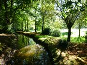 ParcCleuyou-2015-5.jpg