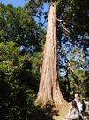 ParcCleuyou-2015-3.jpg