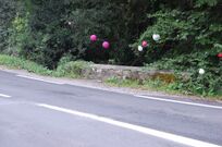 PontBanal2014-2.jpg