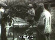 Cascadec49-104323.jpg