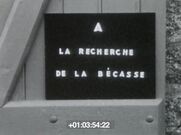 03:54 À la recherche de la bécasse