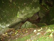 StangLuzigou10.jpg