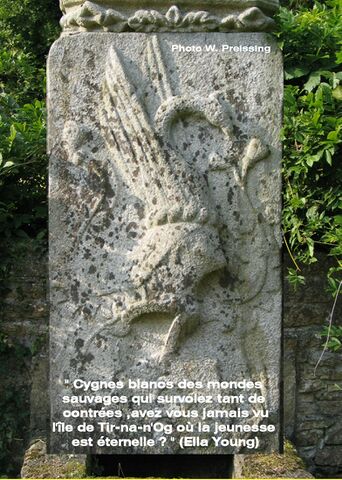 Fichier:AfficheLiziart.jpg