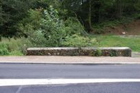 PontBanal2014-3.jpg