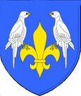 Blason Du Fou