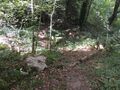 Vignette pour la version du 23 août 2023 à 10:13