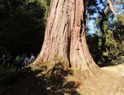 ParcCleuyou-2015-4.jpg