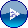 Vignette pour la version du 20 décembre 2024 à 16:17