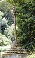Vignette pour la version du 23 août 2024 à 09:58