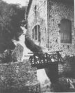 Chute de 20m