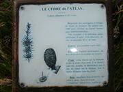 Pancarte pédagogique